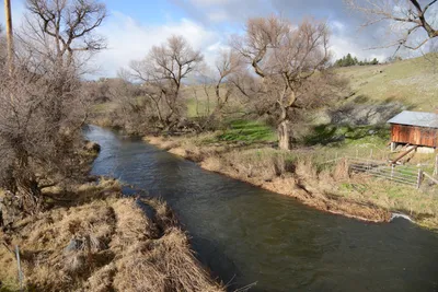 DSC_1021 (Large).JPG